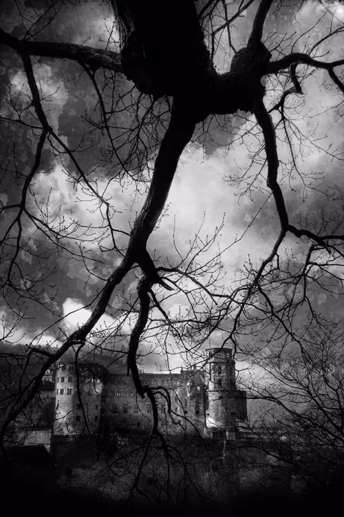 Item #40160686583094733528677484039903516258611509642019211679321071486957002948609 Media