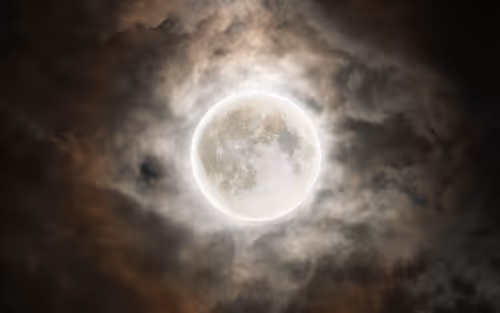 Item #52635344672284344927127524699842754890173282704640420392144903481695993331713 Media