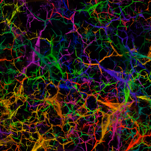 Item #50918555062582210159273167721725581522404743190091886750106034876196539334657 Media