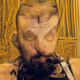 28784466581525539512210813467354110201796585778355222771117876837910910599169