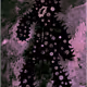 48806346419376390067569206703576973884375010164781749075077758106711504191489