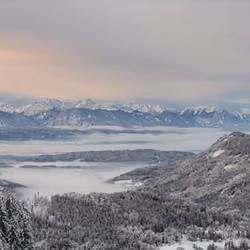 Winter Wonderland