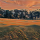 sunset crop 