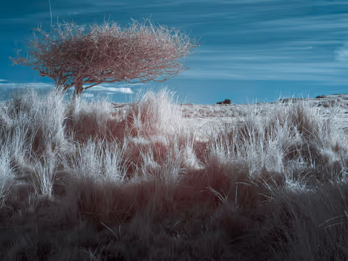 Item #105424874580272350249353180101820695324338341917620358577696675013535121539073 Media