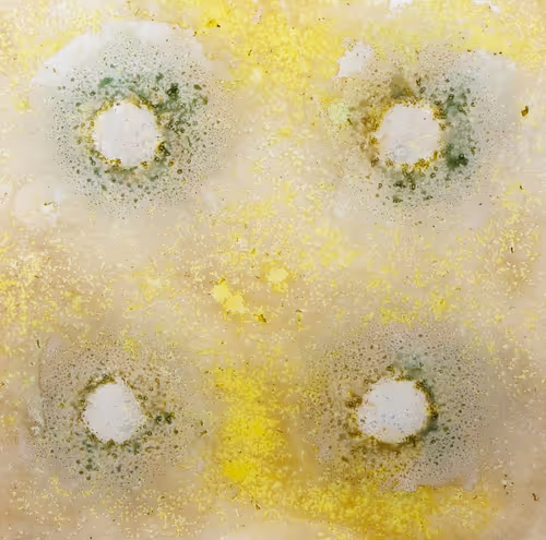 Item #111264774895172989553606282022194155892745764425417346937131400144337879695361 Media