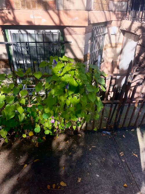 Item #46165039253768007082399740641195616512742564735458556676886734425063791001601 Media