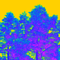 Safe Forest