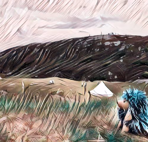Porcupine Canonical Tent