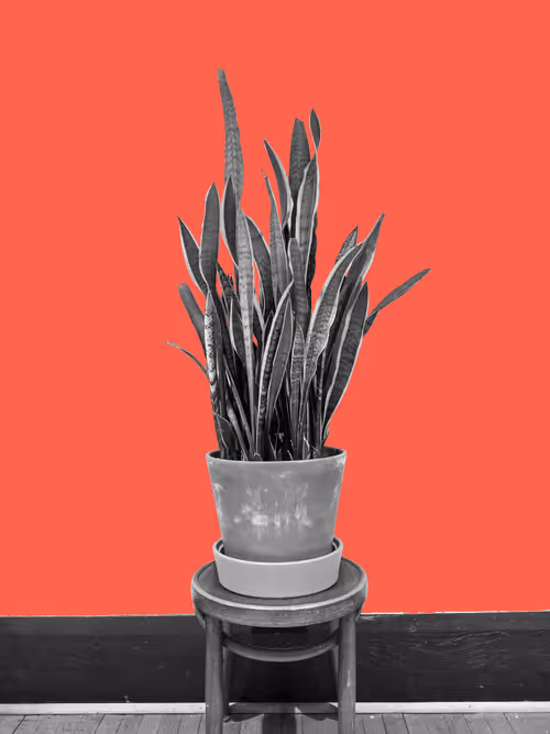 Item #25379124807980713745219244606437574046087384809022650852355167092829214212097 Media