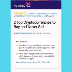 Motley Fool To The Moon