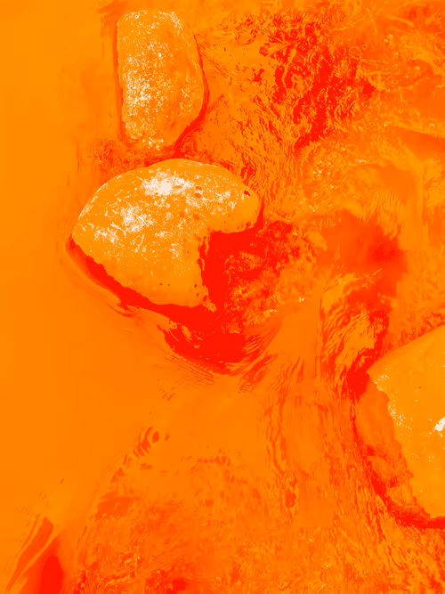 Item #98843954857266856101330559780238873570552098425130206222908041927494845071361 Media