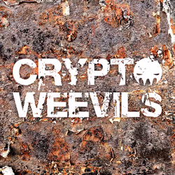 29314157866463614573355053931398882925484977285626546525081320736245728411748