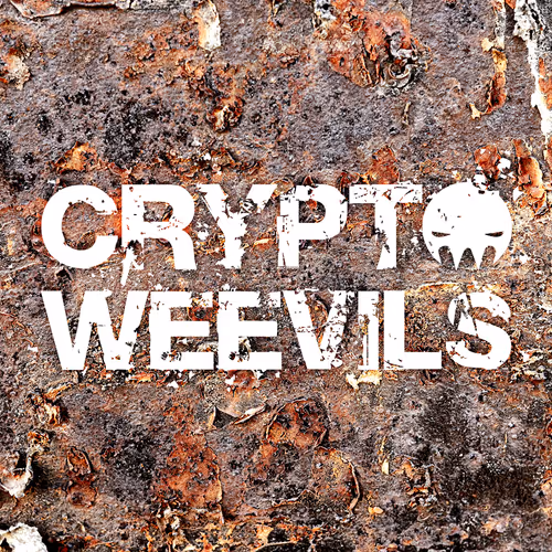 29314157866463614573355053931398882925484977285626546525081320736245728411748