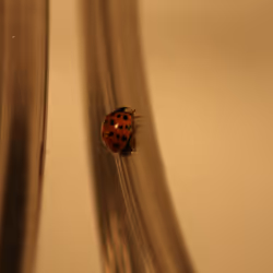 51124555051901614330264480006545612592022390906904121289505624545916050472961