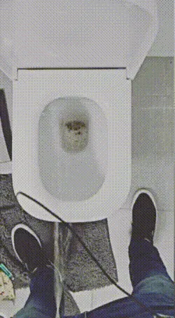 Item #113063480477538542725812283046377069935460778871724849289965031214528992378881 Media