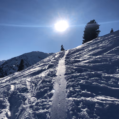 Untitled Collection #160190354 - old