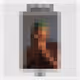 94647137413348278141602677088377261189913365087263224605045380574919568392193