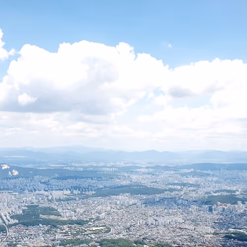 Untitled Collection #113867122