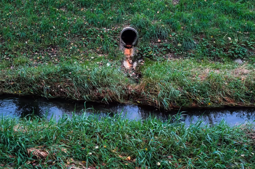 Item #88837150709499798352031986971363165703044907958800399059978422569891272851457 Media