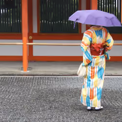 How I Met Your Geisha