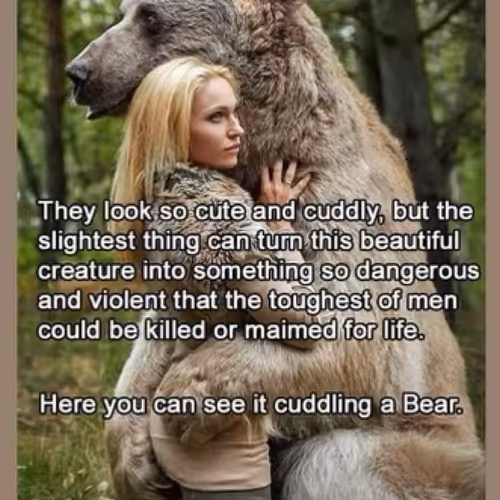 100877380078657672831141937300682673949994067612090361731607526954428675391489