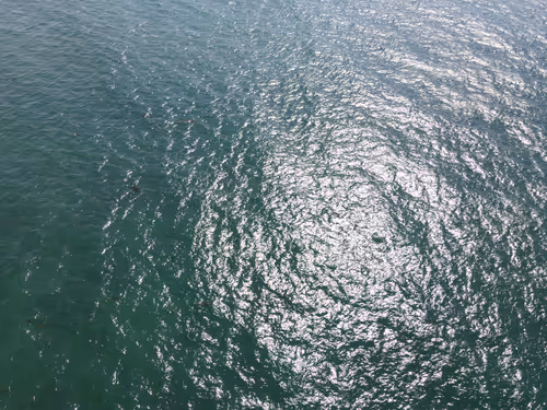 Item #20690686598406327978537158336164426387947003883481915028812449887128081399809 Media