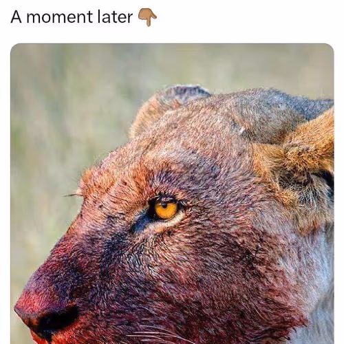 Untitled Collection #166951499