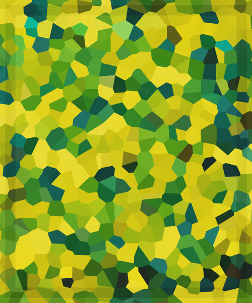 Item #22772742530994404283160777428808967546850895120671873777941366218937249824769 Media