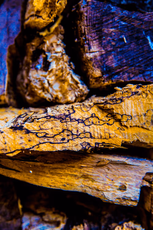 Item #40632996133042654692589824603650500763499961417471040253403769858964487929876 Media