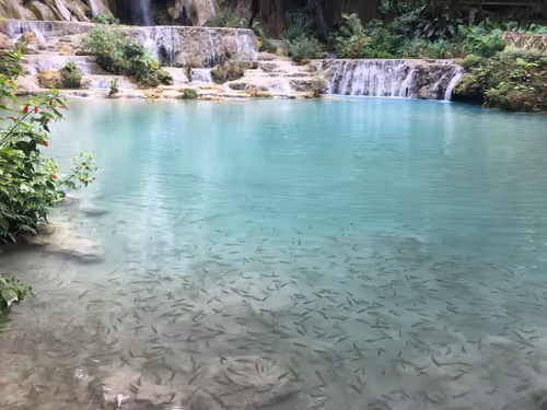 Item #40129036347338487732493830186327944618305484146391989675731997372122266599624 Media