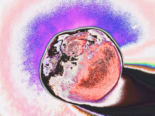 Item #58921648873001727541291667899035918231730626579624698148137299686967287480321 Media