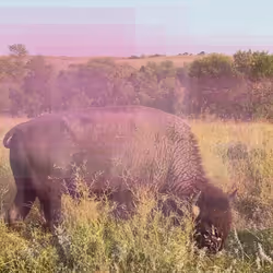 105089968166921690156624725616502706642431777719922472152070405784334942339073