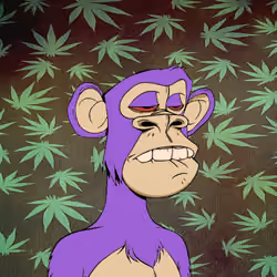 High Ape #10 
