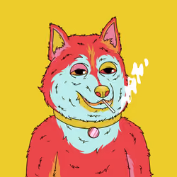  Hypno Husky #17
