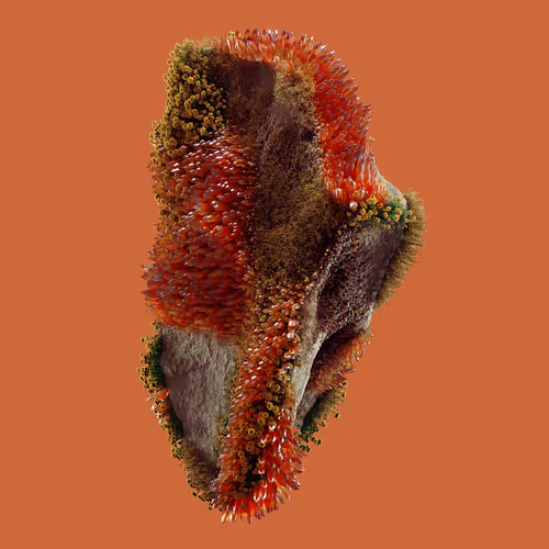 Item #29025029791859050124720480462956340608557292548544538512690378014911813910529 Media