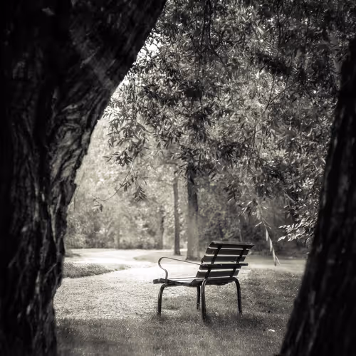 serenity