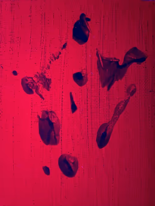 Item #82156306384610747966184862212727550247456131418142315154672423510543270150145 Media