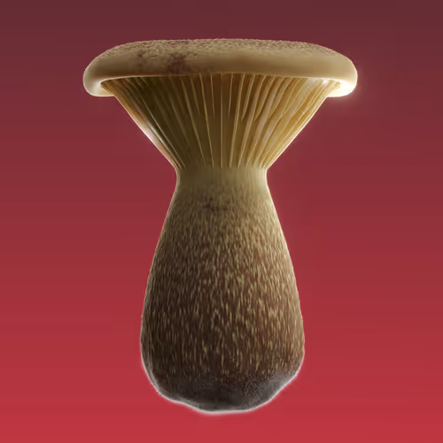 Item #95653877050150474555742155054455970472164202465768371638498214033858230222849 Media