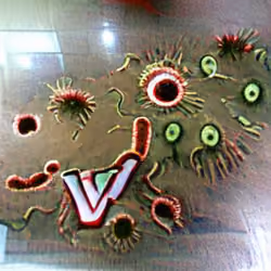Virus / bacteria