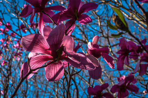 Item #4356313277186310688278388877259686636722187435374575515082253941235085475841 Media