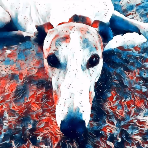 Item #113233535435930126246803406212525192330824104616936385021501681233098363109377 Media