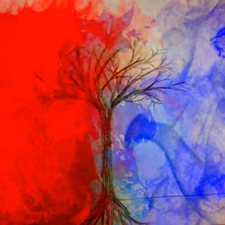 The Forces Within Our Roots - May, 2014