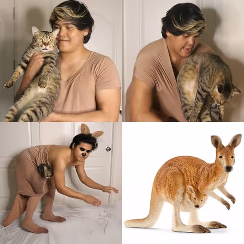 Item #72585907494966544133516011520254527135967025822006955132026469263598428356609 Media