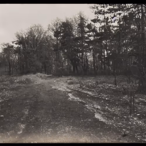 Item #83280107070391697529376828382192850557060699628127089263691584840973938589697 Media