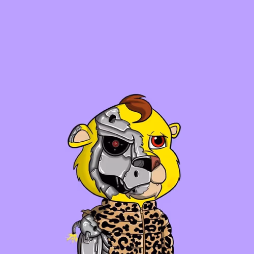 SnowBizRemoval_ Collection