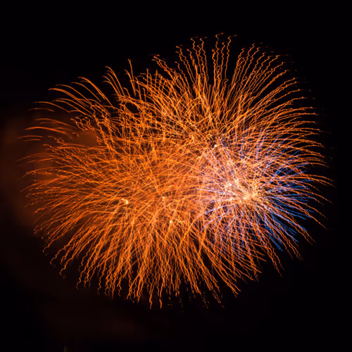 Untitled Collection #2094340700