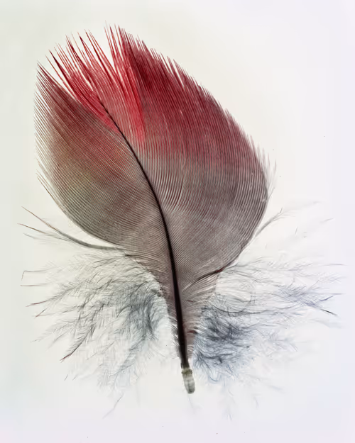 Item #15950502774274559587709957543874871977543956853015568947902385682203164016641 Media