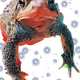 49867544633503692170868495961021431053035964931590802524270277369889701232641