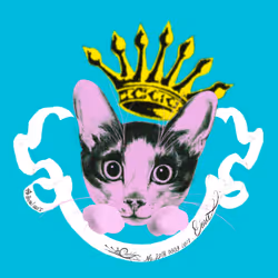 22126065719569683991131321902578450543022560504422507385304151372115673612289