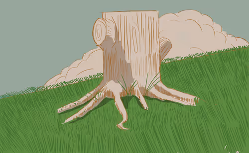 Item #60592637615865068078267225219252541419651644660239550691409491192767269835656 Media